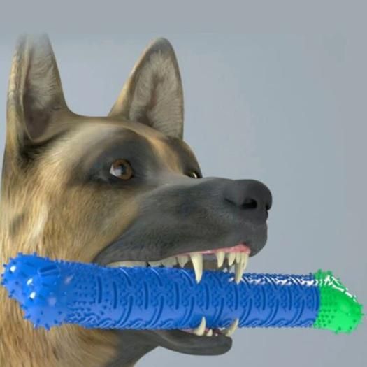2 In 1 Chew Toy And Dental Care Stick